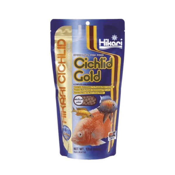 Cichlid Gold-med-Ideacquario